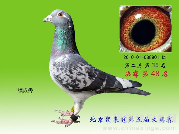 ����TA�ĸ�����