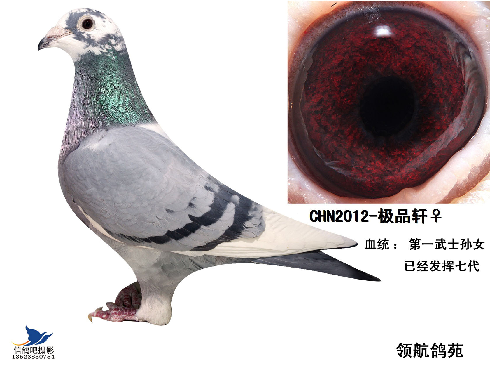 ����TA�ĸ�����