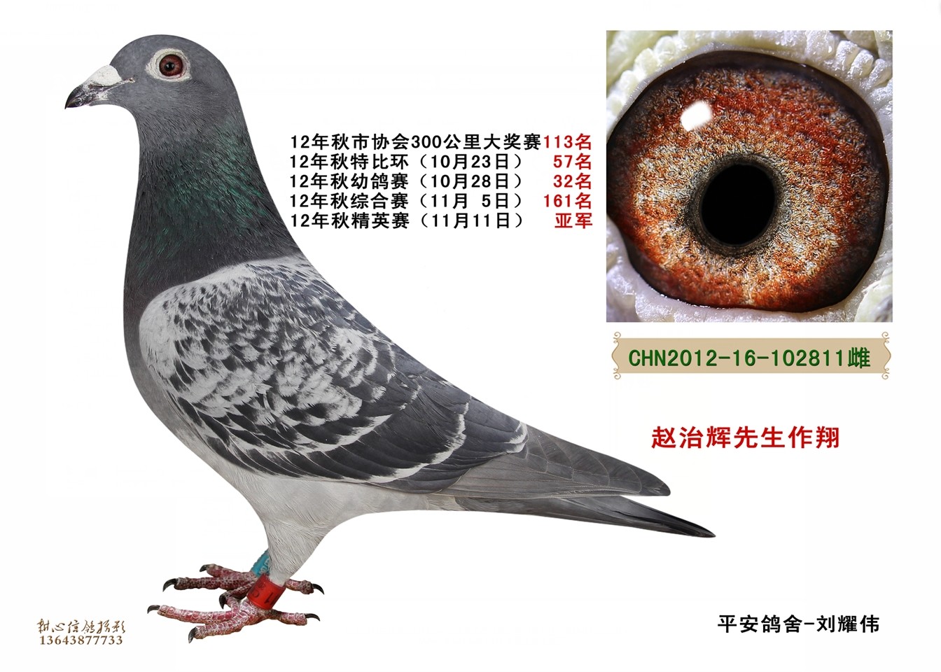 ����TA�ĸ�����