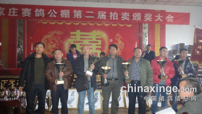 ����TA�ĸ�����