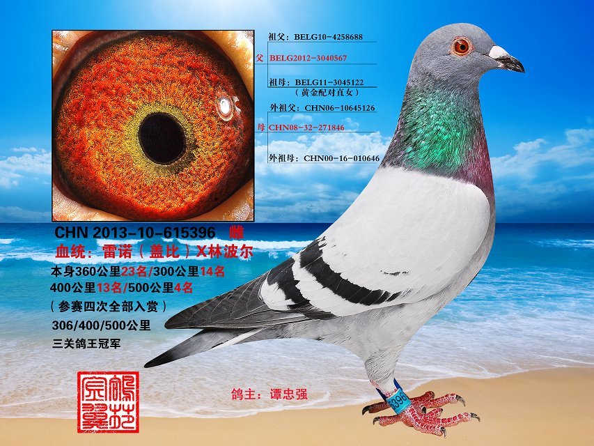 ����TA�ĸ�����