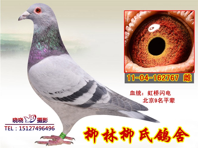 ����TA�ĸ�����