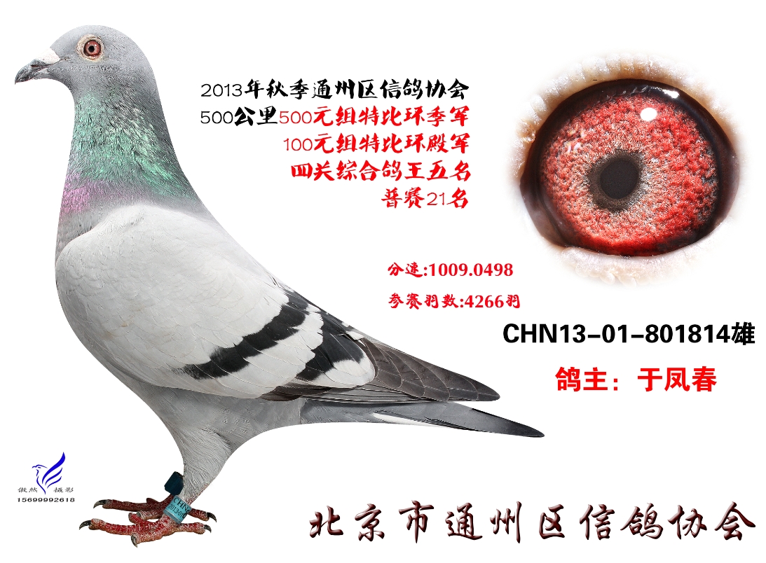 ����TA�ĸ�����