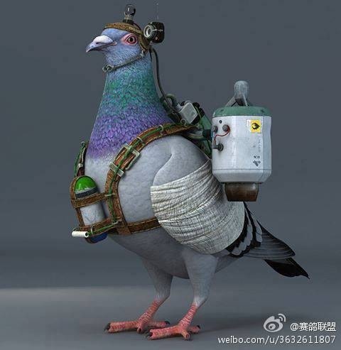 ����TA�ĸ�����