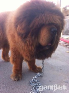 ����TA�ĸ�����