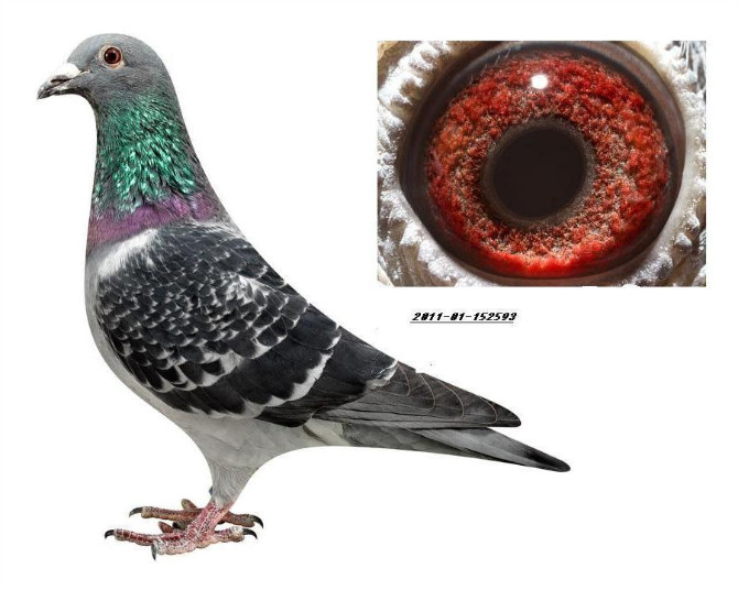 ����TA�ĸ�����