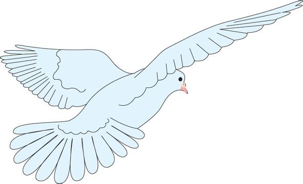 ����TA�ĸ�����