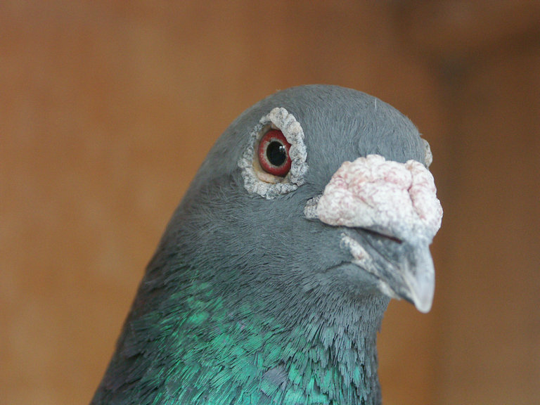 ����TA�ĸ�����