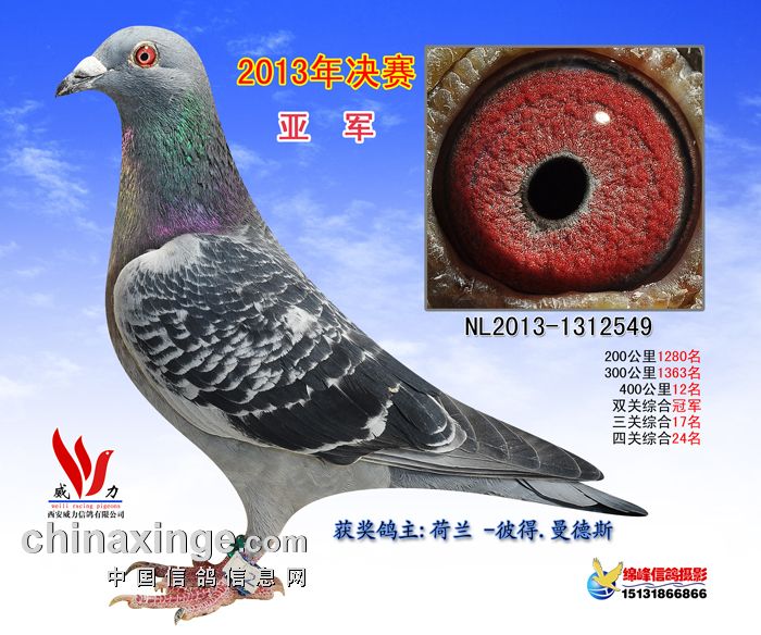 ����TA�ĸ�����