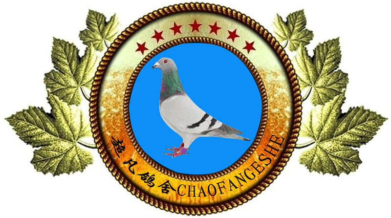 ����TA�ĸ�����