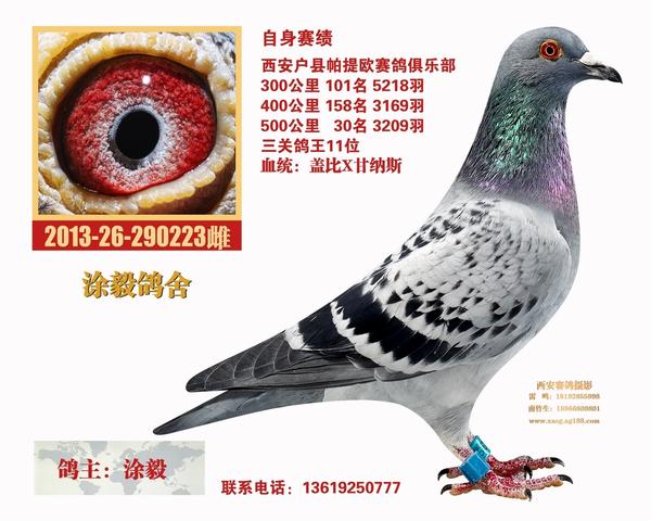 ����TA�ĸ�����