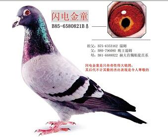 ����TA�ĸ�����