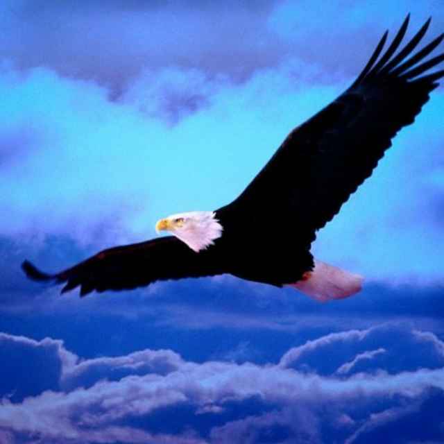 ����TA�ĸ�����