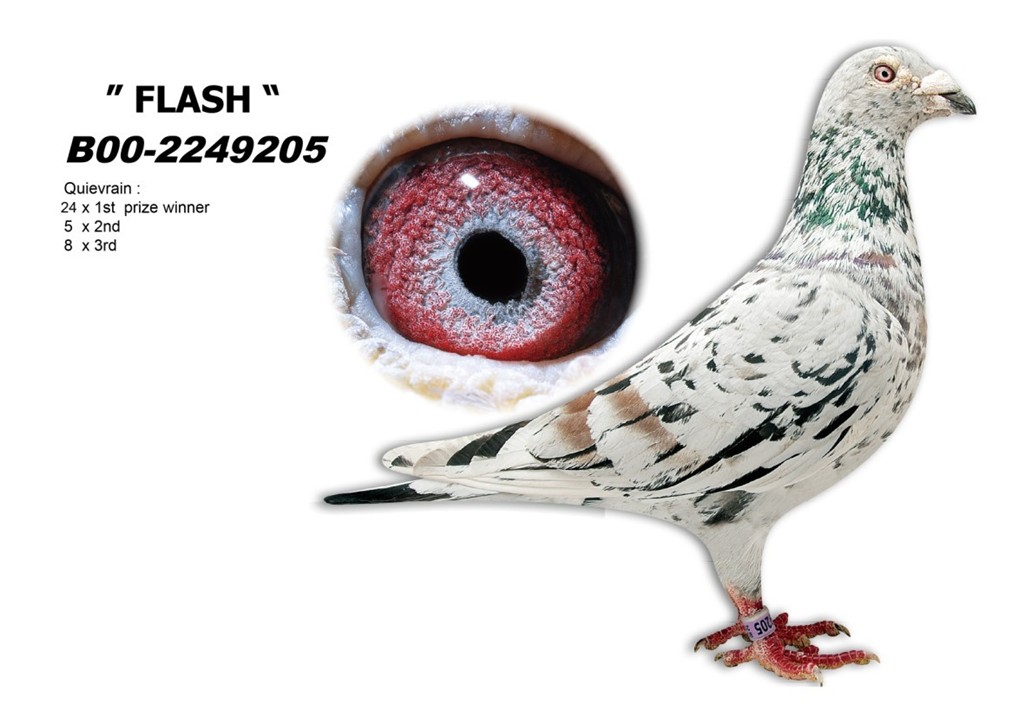 ����TA�ĸ�����