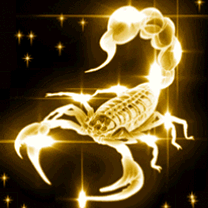 ����TA�ĸ�����