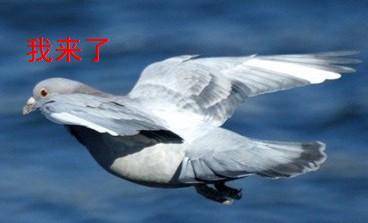 ����TA�ĸ�����