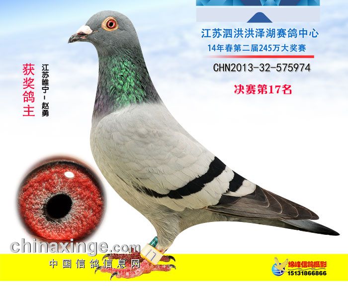 ����TA�ĸ�����