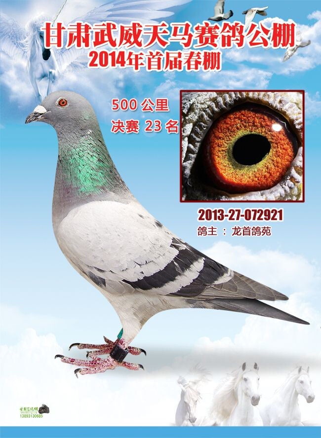 ����TA�ĸ�����