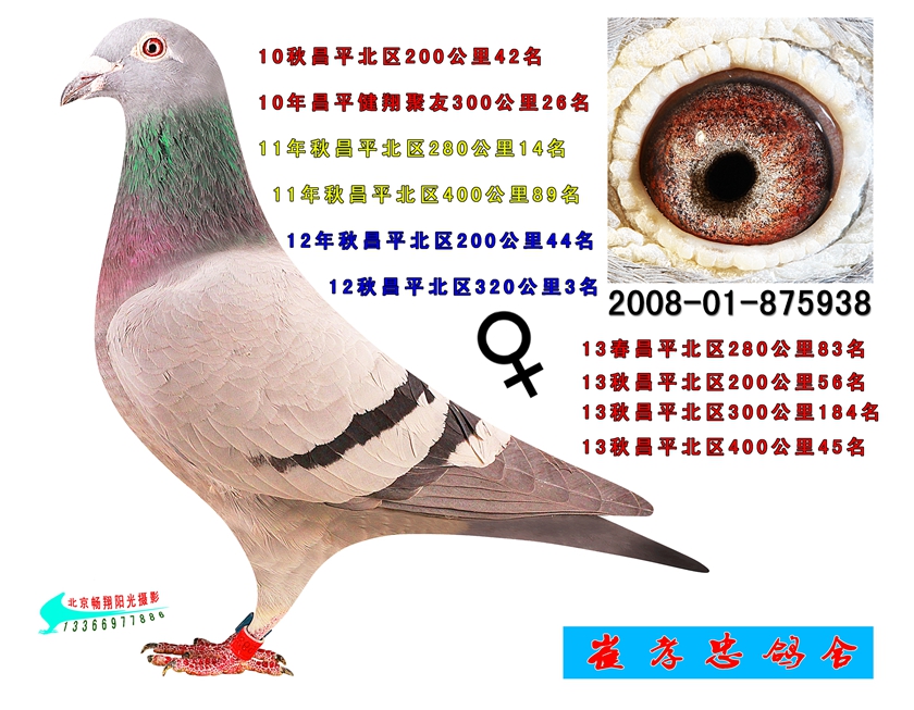 ����TA�ĸ�����