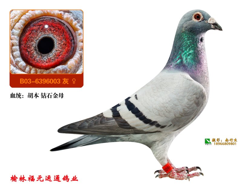 ����TA�ĸ�����