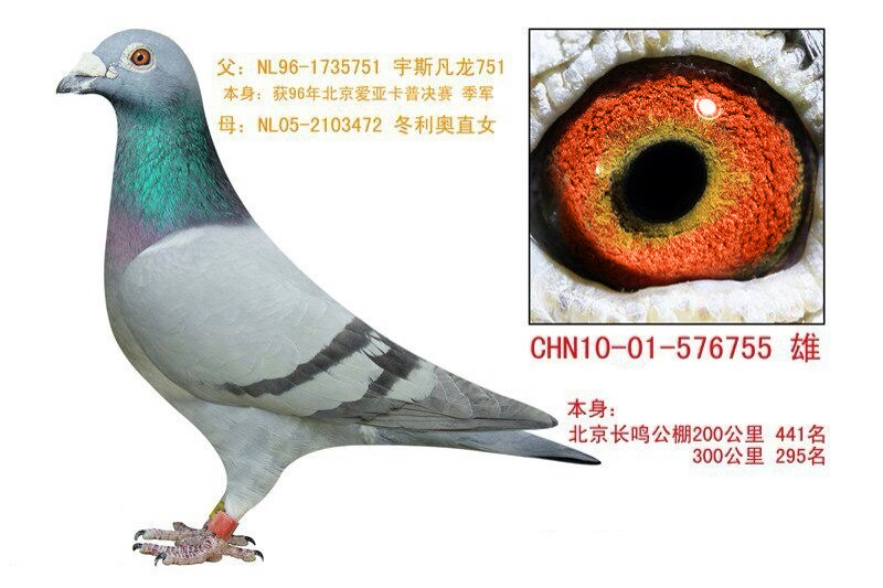 ����TA�ĸ�����