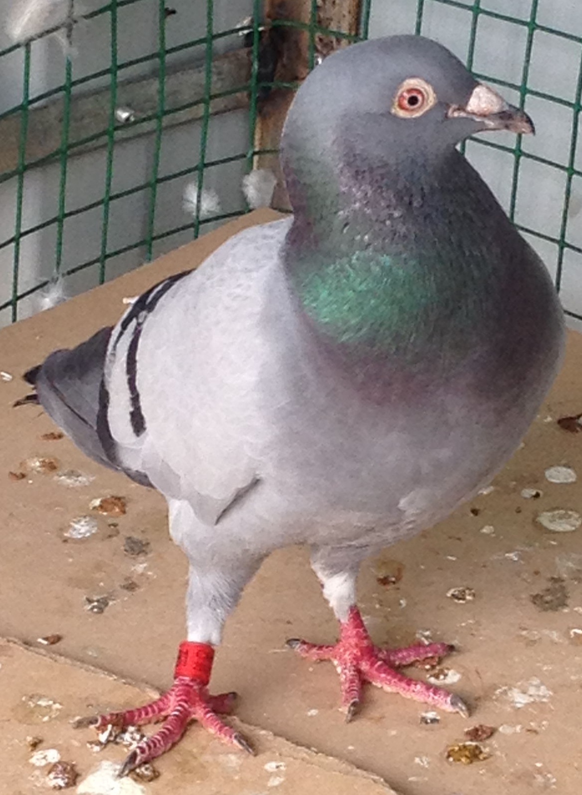 ����TA�ĸ�����