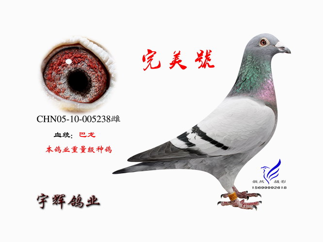 ����TA�ĸ�����