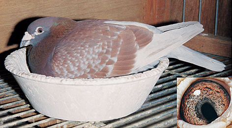 ����TA�ĸ�����