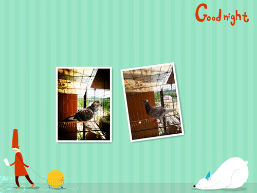 ����TA�ĸ�����