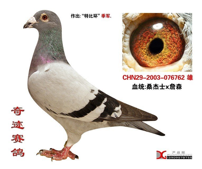 ����TA�ĸ�����