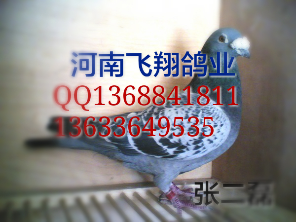 ����TA�ĸ�����