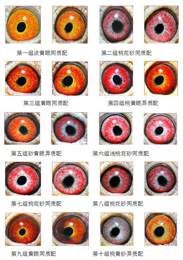 ����TA�ĸ�����