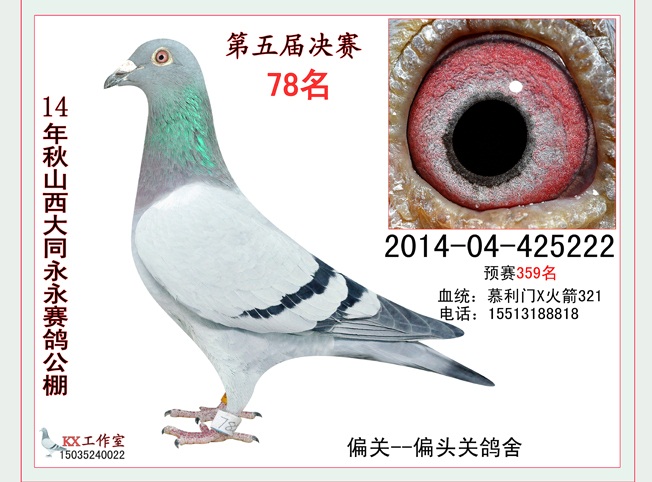 ����TA�ĸ�����