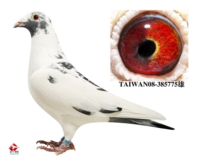 ����TA�ĸ�����