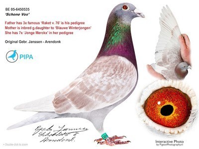 ����TA�ĸ�����