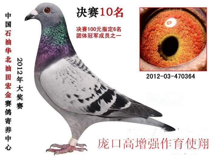 ����TA�ĸ�����