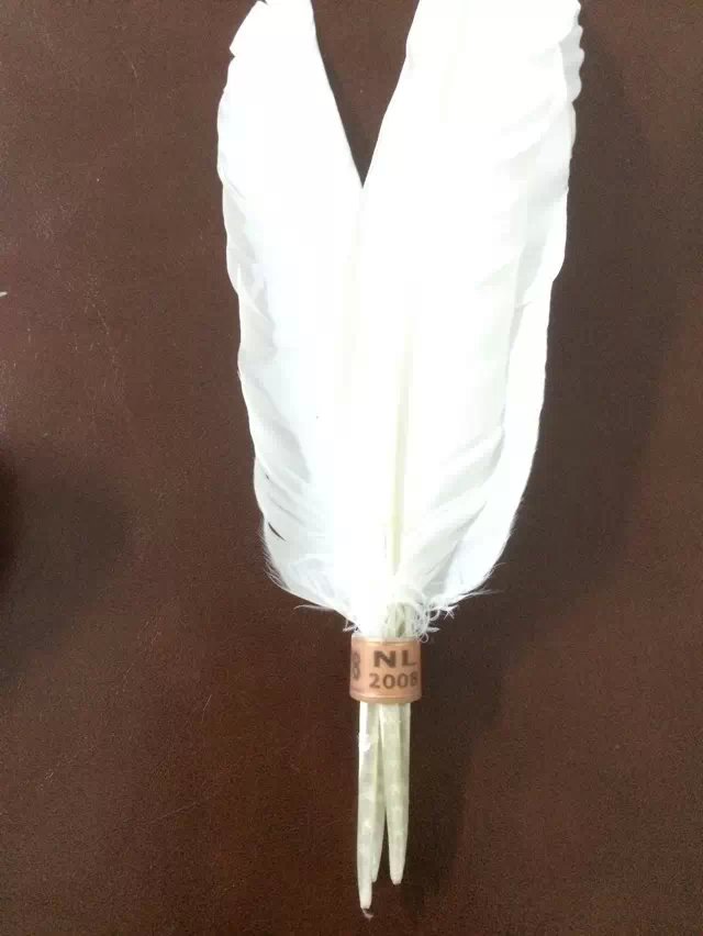 ����TA�ĸ�����