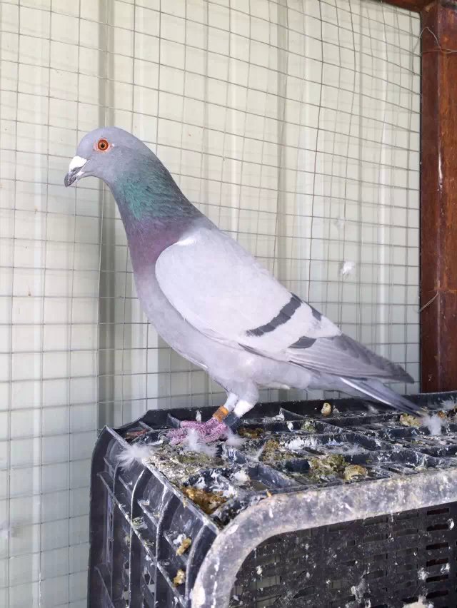 ����TA�ĸ�����