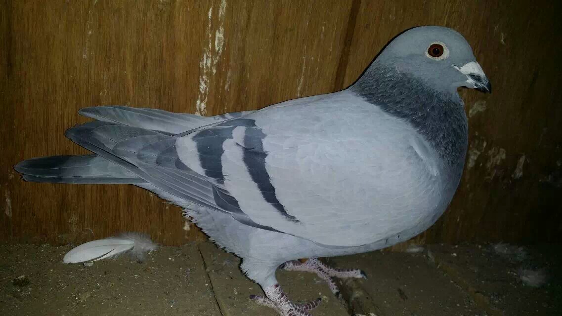 ����TA�ĸ�����