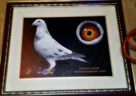 ����TA�ĸ�����