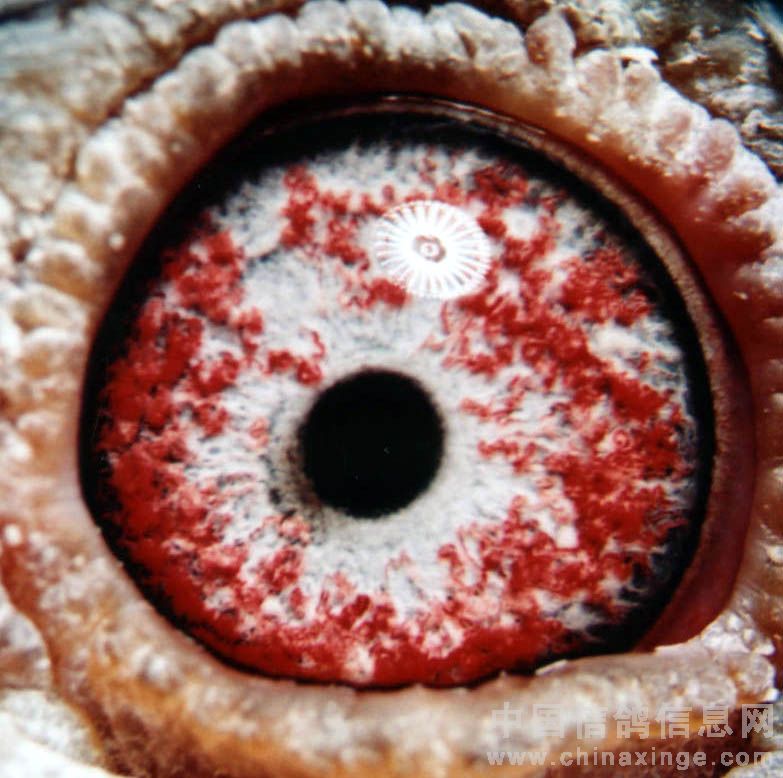 ����TA�ĸ�����