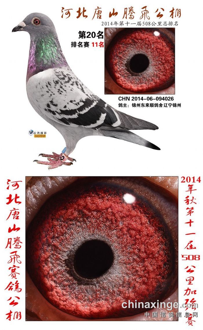 ����TA�ĸ�����