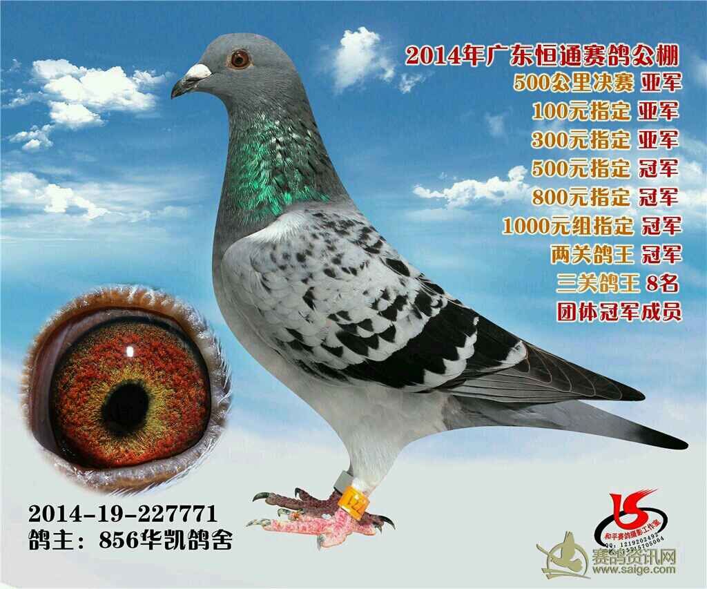 ����TA�ĸ�����