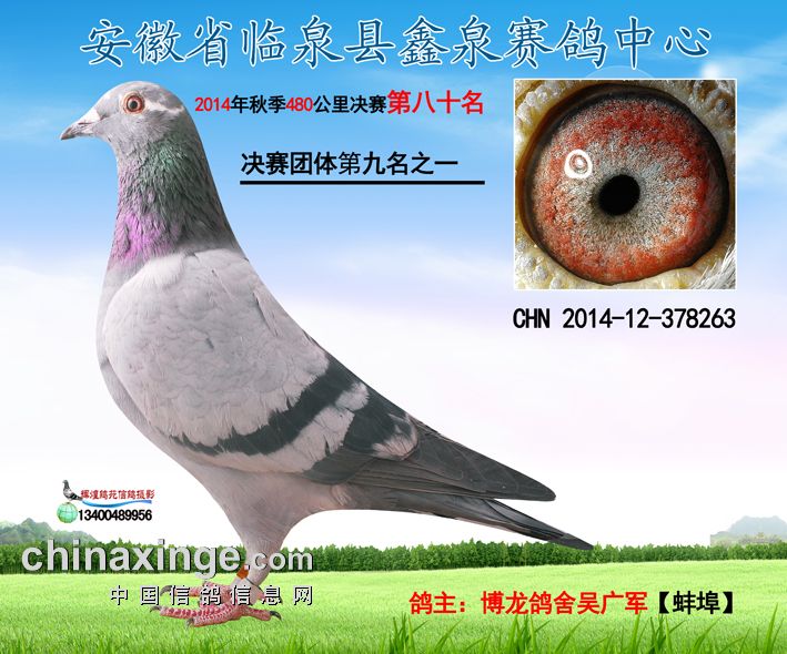 ����TA�ĸ�����