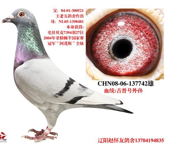 ����TA�ĸ�����