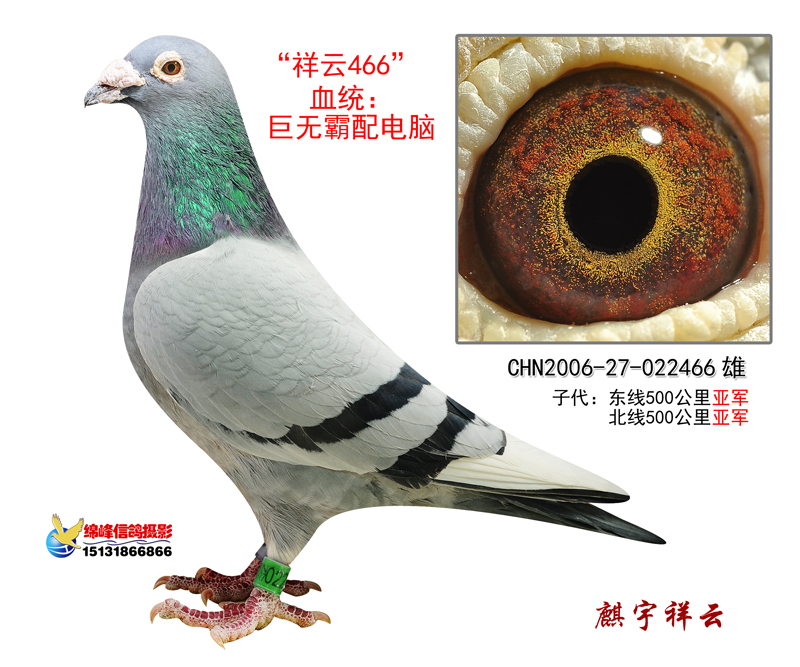 ����TA�ĸ�����