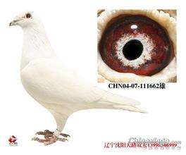 ����TA�ĸ�����