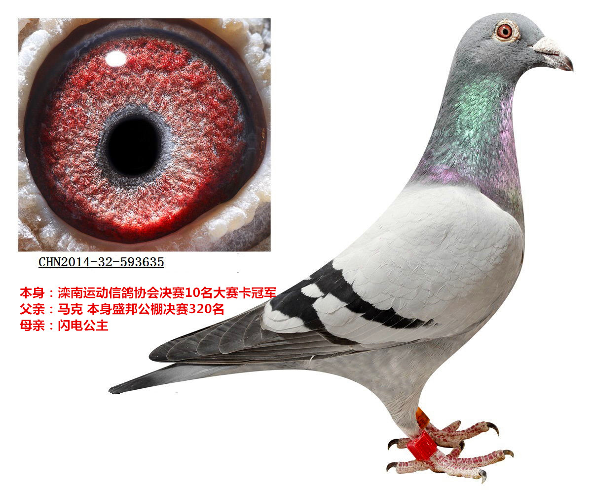 ����TA�ĸ�����