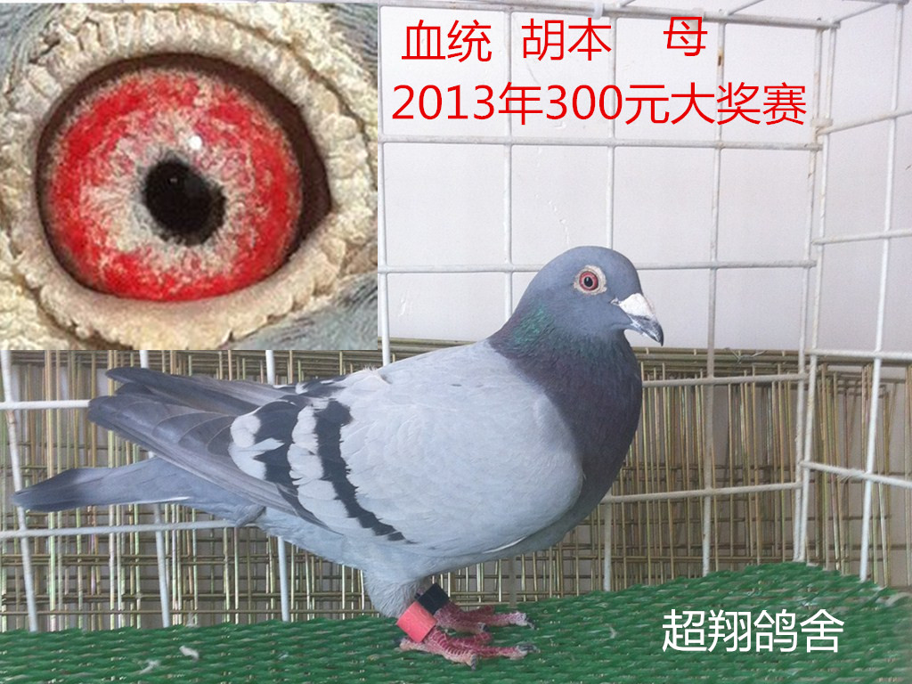 ����TA�ĸ�����