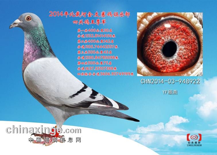 ����TA�ĸ�����